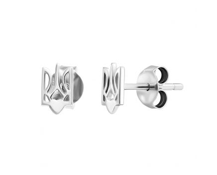 Silver earrings C2/240