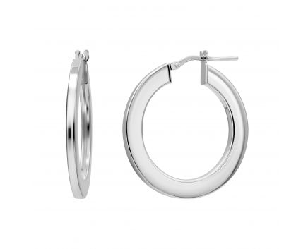 Silver earrings 3S269-0142